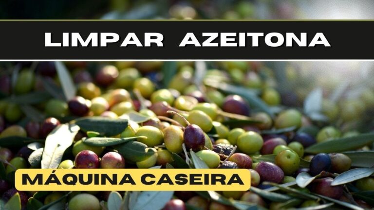 Como Limpar Azeitonas: Guia Pr&aacute;tico e Eficiente