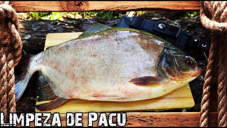 Como Limpar Peixe Pacu de Forma Eficiente