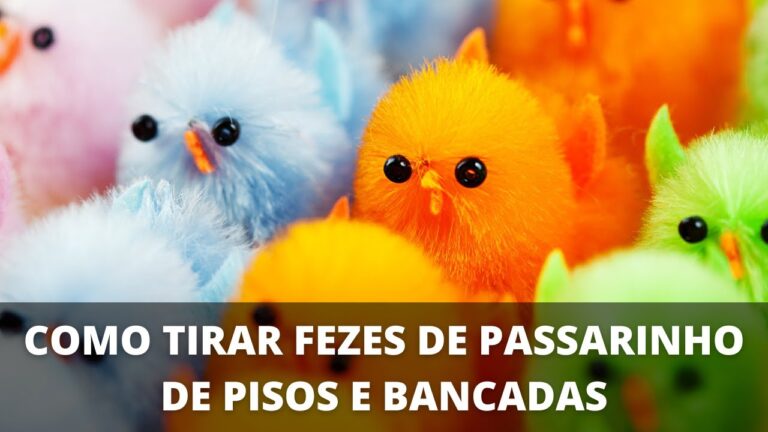 Dicas Eficazes para Limpar Cagadela de Pombos