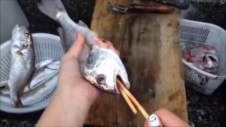 Dicas Pr&aacute;ticas para Limpar Pauzinhos de Sushi