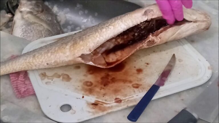 Guia Prático para Limpar Peixe Salema