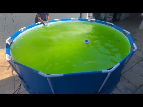 Como Limpar Piscinas Verdes Bestway Eficientemente