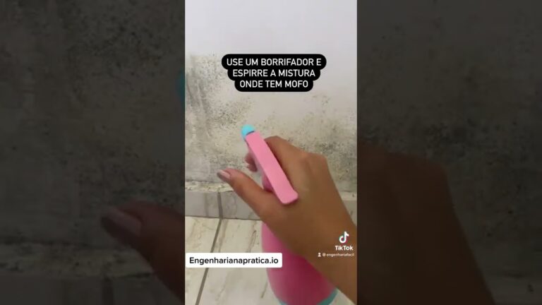 Dicas Eficazes para Remover Bolor de Paredes Coloridas