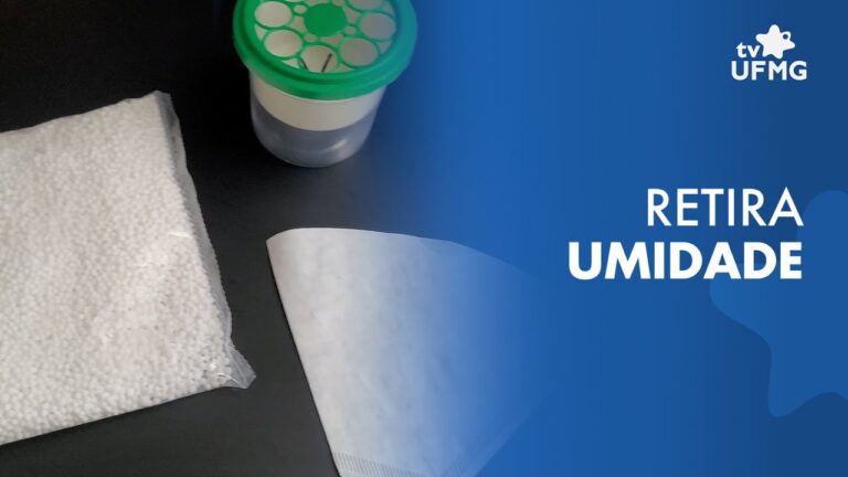 Limpeza Eficiente de Paredes com Humidade Usando Produtos Naturais
