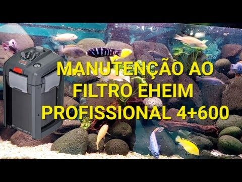 Como Limpar Filtros de Aquário Eheim Classic 350