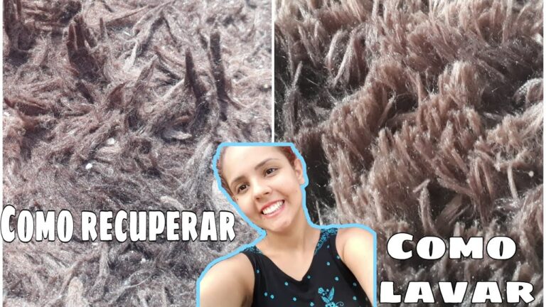Guia Prático para Limpar Tapetes de Pelo Longo