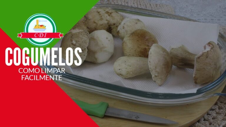 Guia Prático para Limpar Tortulhos Eficazmente