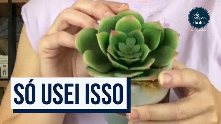 Guia Prático: Como Limpar Árvores Artificiais Eficazmente