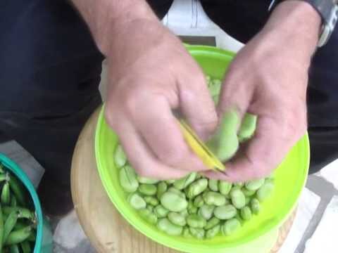 Guia Pr&aacute;tico: Como Limpar Favas de Forma Eficiente
