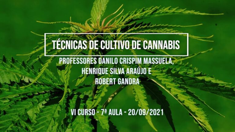 Como Limpar o Sistema de Cannabis Eficazmente