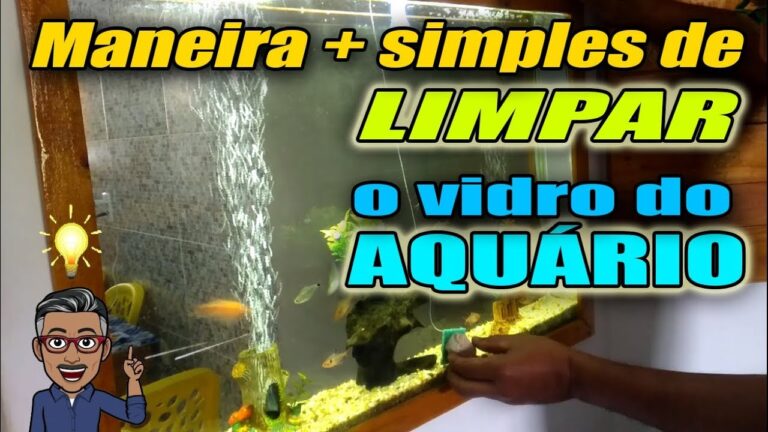 Como Limpar Lodo do Aqu&aacute;rio Eficazmente
