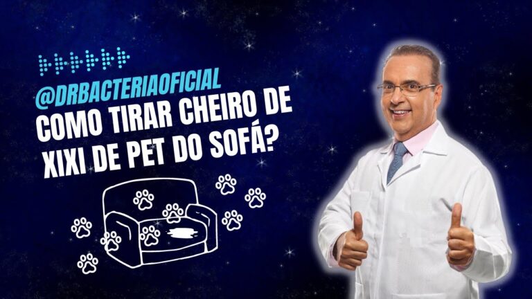 Dicas Eficazes para Limpar Sof&aacute; de Tecido com Cheiro de Cachorro