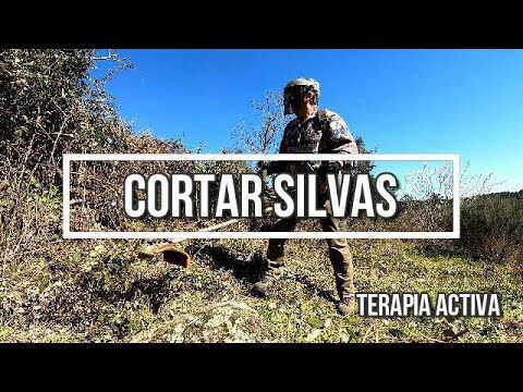 Dicas Eficazes para Limpar Silvas com Roçadeira