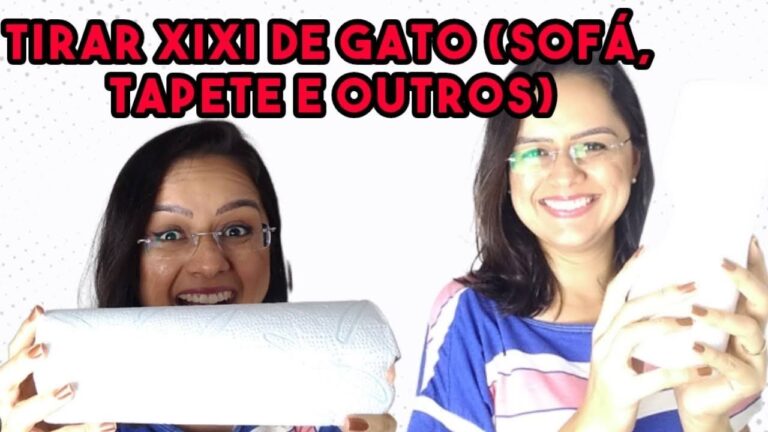 Dicas Eficazes para Limpar Tapete com Urina de Gato