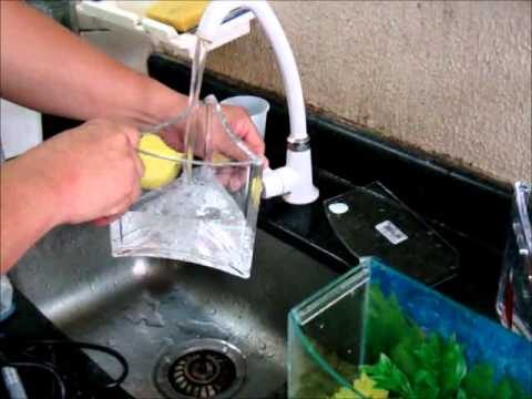 Guia Prático para Limpar um Aquário de 5 Litros com Betta