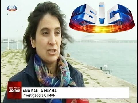 Métodos Eficazes para Limpar Petróleo Derramado no Mar