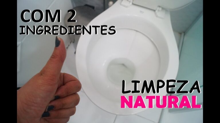 Limpeza Natural do Vaso Sanit&aacute;rio: Dicas Eficazes
