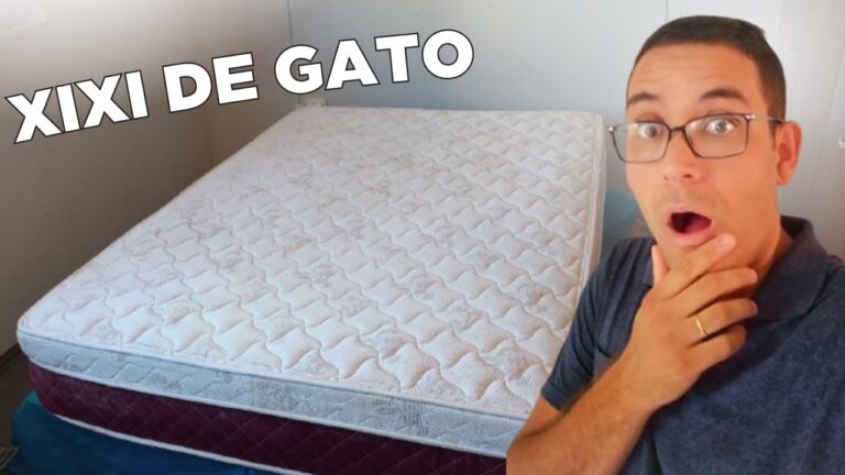 Dicas Eficazes para Remover Urina de Gato do Colchão