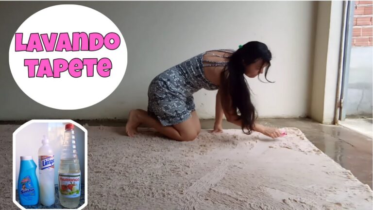 Dicas Eficazes para Limpar Carpetes com Pelo Alto