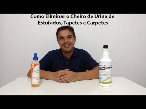 Dicas Eficazes para Limpar Urina de Estofados