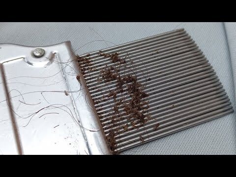 Guia Prático para Limpar Pentes de Lendas