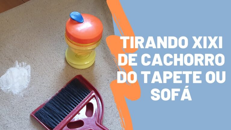 Dicas Eficazes para Limpar Urina no Carpete