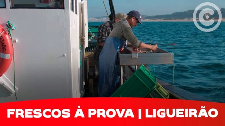 Guia Pr&aacute;tico: Como Limpar Lingueir&atilde;o de Forma Eficiente