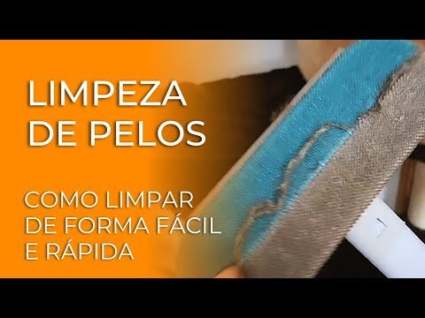Dicas Eficazes para Limpar o Pelo do Gato