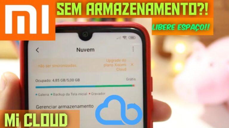 Guia Pr&aacute;tico para Limpar a Mi Cloud