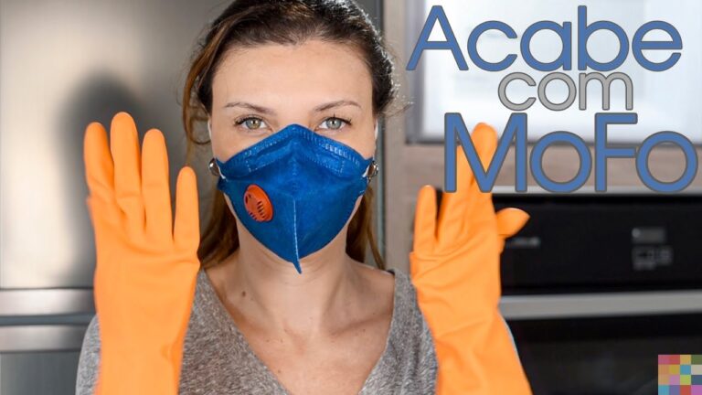 Como Proteger e Limpar Mofo de Forma Eficiente