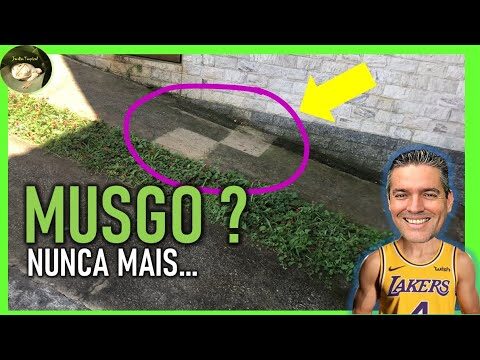 Guia Prático para Limpar Telhas Verdetes