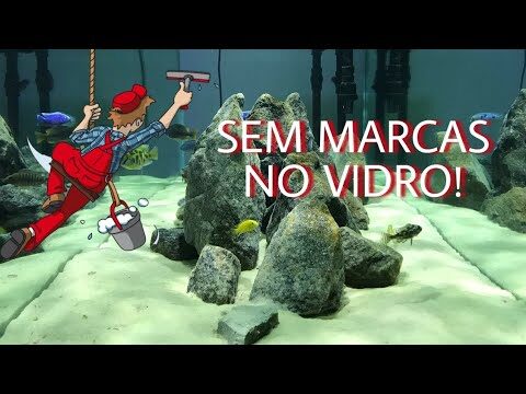 Guia Pr&aacute;tico para Limpar Vidros de Aqu&aacute;rio