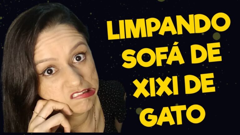M&eacute;todos Eficazes para Remover Fezes de Gato do Carpete