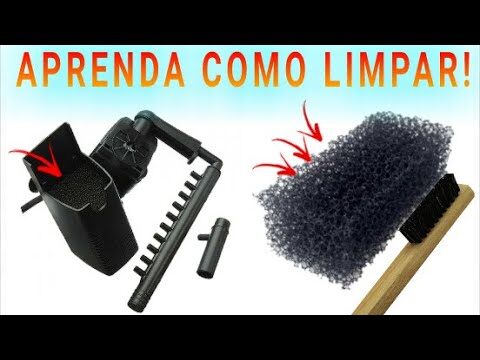 Guia Prático: Como Limpar Filtro de Aquário Submerso