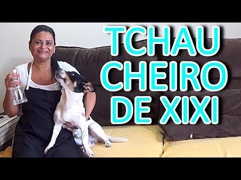 Como Limpar Mancha de Ch&aacute; em Sof&aacute;