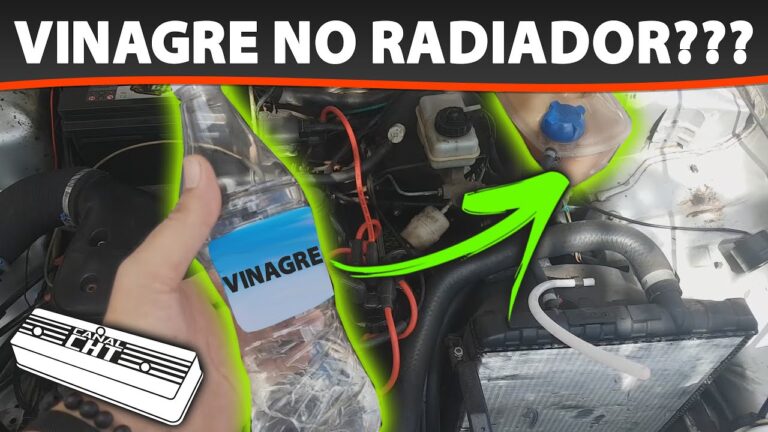 Limpeza Eficiente do Radiador de Sofagem com Produtos Caseiros e Ferrugem