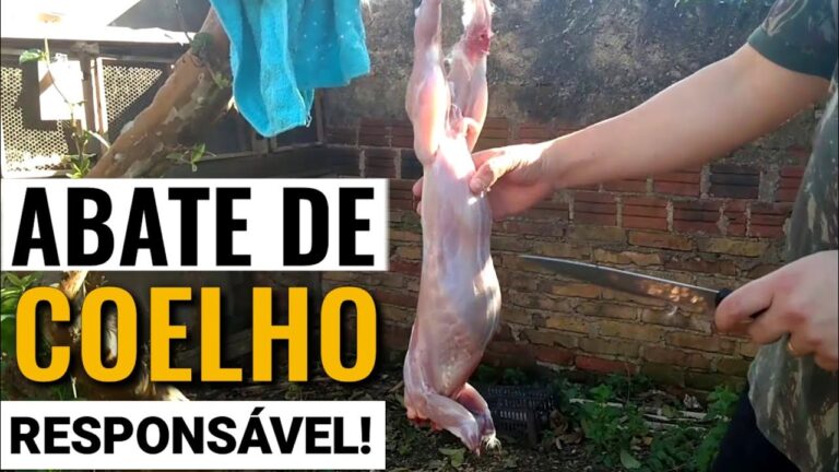 Guia Prático: Como Limpar Coelho para Consumo