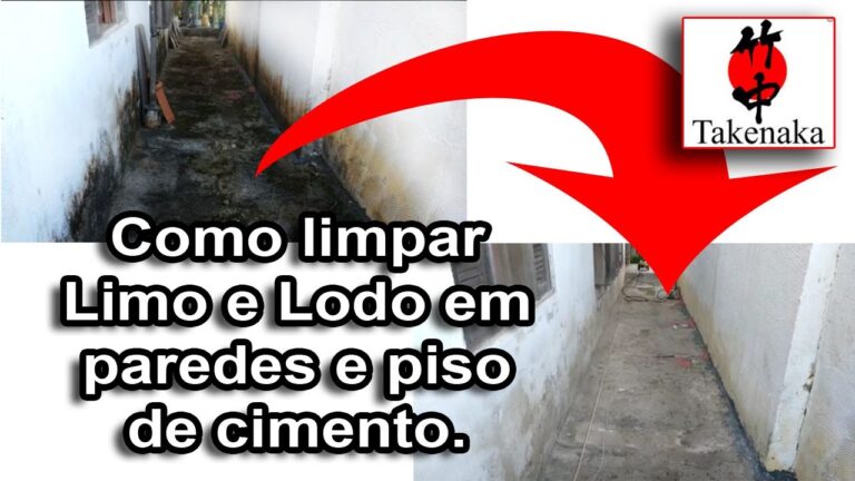 Dicas Eficazes para Limpar Veredete em Cimento