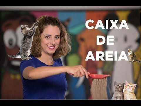 Dicas Práticas para Manter a Caixa de Areia Limpa