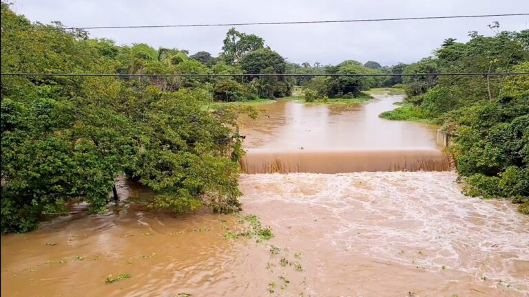 &Eacute; Como um Rio de &Aacute;gua Limpa: Fluidez e Clareza na Vida