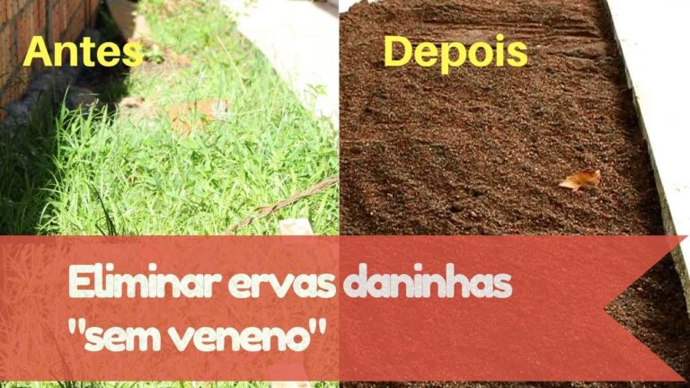M&eacute;todos Eficazes para Limpar Ervas Daninhas