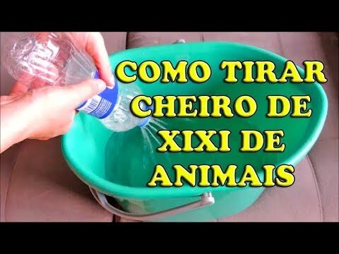 Dicas Eficazes para Remover Urina de Gato do Sofá