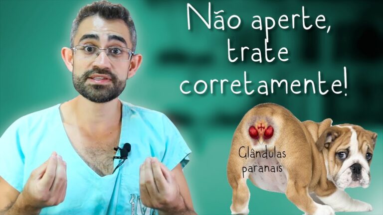 Tratamento Eficaz para Limpeza de Glândula Anal em Cães Inflamados