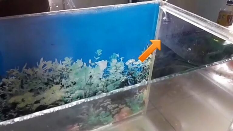 Como Remover Manchas Brancas do Aqu&aacute;rio