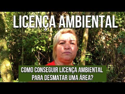 Limpeza de Matas: Medidas Obrigatórias e Como Proceder