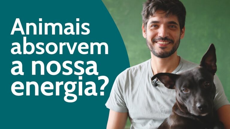 Limpeza Energ&eacute;tica para Animais: Guia Pr&aacute;tico