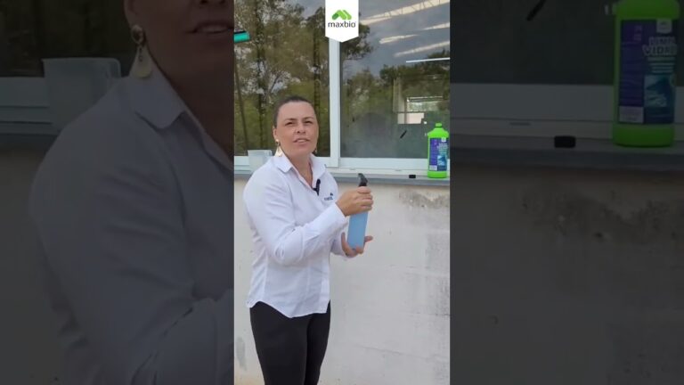 Limpa Vidros de Carro: Frag&acirc;ncia e Efic&aacute;cia em Um S&oacute; Produto