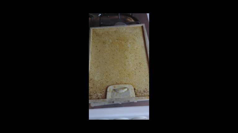 Como Limpar Filtros de Exaustor com Gordura Acumulada