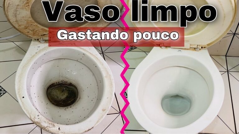 Dicas Eficazes para Limpar Vaso Sanit&aacute;rio Encardido no Fundo