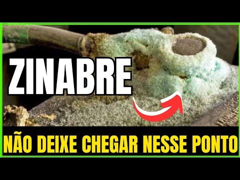 Guia Prático: Como Limpar Zenebra Eficazmente
